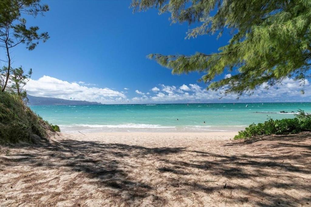 Unit 4 Maui Ohana Modern Studio ワイルク エクステリア 写真